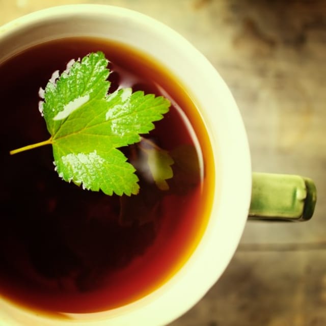 Herbal Tea.